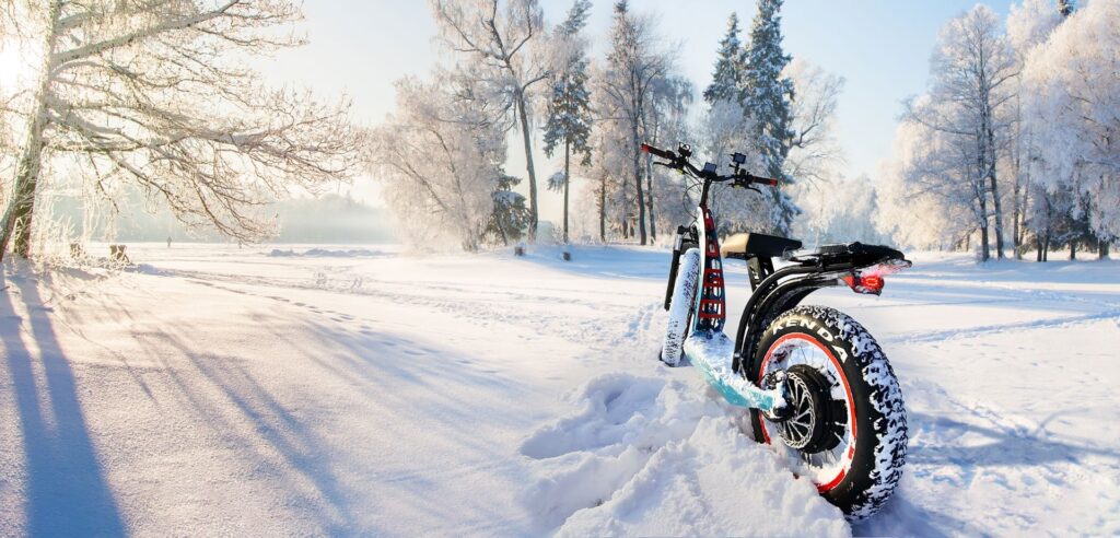 HUGO Bike Big One in the snow