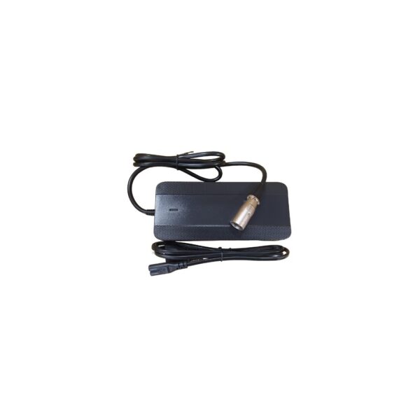 Cargador 3A / 48V